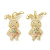 Brass Micro Pave Cubic Zirconia Pendant ZIRC-C021-28G-1