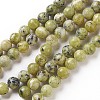 Natural Yellow Turquoise(Jasper) Beads Strands X-G-Q462-10mm-22-1