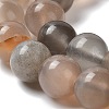 Natural Grey Moonstone Beads Strands G-F632-24-02-01-3