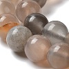Natural Grey Moonstone Beads Strands G-F632-24-02-01-4