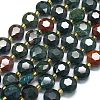 Natural Bloodstone/Heliotrope Stone Beads Strands G-C116-A143-01-2
