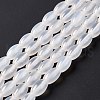 Natural White Agate Beads Strands G-C247-01B-4