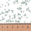 TOHO Round Seed Beads X-SEED-TR11-2202-4