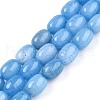 Barrel Shaped Dyed Natural Aquamarine Beads Strands X-G-S114-25-01-2