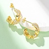 Brass Micro Pave Clear Cubic Zirconia Stud Earrings EJEW-D322-07G-01-2