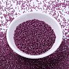 MIYUKI Delica Beads SEED-J020-DB2162-2