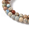 Dyed Natural Regalite/Imperial Jasper/Sea Sediment Jasper Beads Strands G-B124-C05-04-3