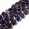 Natural Amethyst Beads Strands G-B026-02B-1