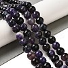 Natural Agate(Dyed & Heated) Beads Strands G-H066-B11-03-1