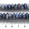 Natural Blue Spot Jasper Beads Strands G-P559-A15-02-5