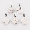 Star Natural Howlite Pendants X-G-Q367-18-1