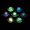 Transparent Luminous Acrylic Pendants TACR-Z002-02-5