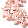 Dyed Natural Trochus Shell Beads Strands SSHEL-C013-09L-3