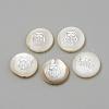 Natural Freshwater Shell Beads SHEL-Q011-P-2