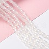 Natural White Agate Beads Strands G-C247-01B-2