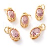 Real 18K Gold Plated Brass Inlaid Cubic Zirconia Charms ZIRC-L100-079G-07-1
