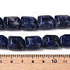 Natural Sodalite Beads Strands G-N342-145-5