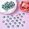 Preciosa® MAXIMA Crystal No Hotfix Flatback Stones Y-PRC-NSS16-30280-200-2