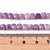 Natural Lepidolite/Purple Mica Stone Beads Strands G-N342-139-5