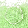 6/0 Luminous Glass Seed Beads SEED-NH0001-01K-3