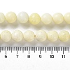 Natural Jade Beads Strands G-L609-A01-02-5