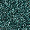 MIYUKI Round Rocailles Beads SEED-G007-RR0030-3