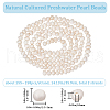 Beebeecraft 2 Strands Natural Cultured Freshwater Pearl Beads Strands PEAR-BBC0001-19-2