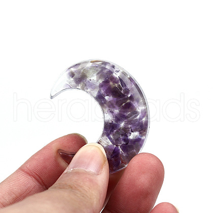 Resin Home Display Decorations G-PW0005-11M-1