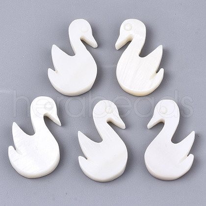 Natural Freshwater Shell Beads X-SHEL-N026-54-1