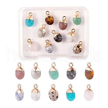10Pcs 10 Style Natural Gemstone Charms G-LS0002-15-1