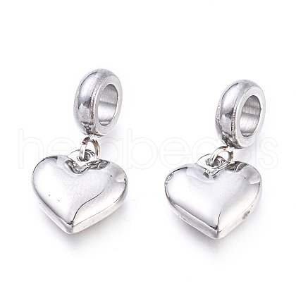 Non-Tarnish 304 Stainless Steel European Dangle Charms X-STAS-F243-39P-1