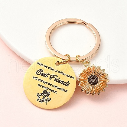 Alloy Enamel & 304 Stainless Steel Keychain KEYC-YW00094-03-1