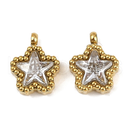 304 Stainless Steel Micro Pave Cubic Zirconia Charms STAS-K302-01A-G-1