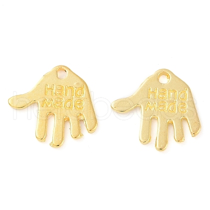 Tibetan Style Alloy Charms X-K095I012-1