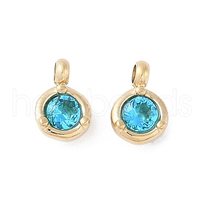 304 Stainless Steel Pendant STAS-L022-425G-03-1