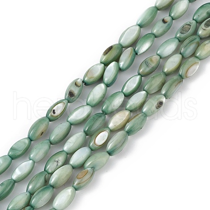 Natural Freshwater Shell Dyed Beads Strands SHEL-M018-13-11-1