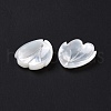Natural White Shell Charms SSHEL-C011-07A-4