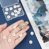  20Pcs Natural Freshwater Shell Beads SHEL-NB0001-65B-3