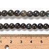 Natural Black Labradorite Beads Strands G-C205-A01-6mm-5