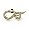 Snake Aolly Rhinestone Brooches JEWB-V008-01LG-04-2