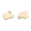 201 Stainless Steel Charms STAS-B001-18G-2