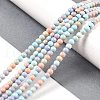 Natural Rainbow Alashan Agate Beads Strands G-G806-04-4mm-01-1