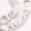 Natural Howlite Chips Beads Strands G365-34-3