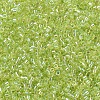 MIYUKI Delica Beads SEED-X0054-DB0174-3