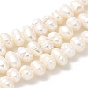 Natural Cultured Freshwater Pearl Beads Strands PEAR-A006-23A-2
