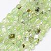 Natural Prehnite Beads Strands G-F521-29-1