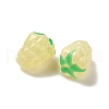 Handmade Lampwork Beads Strands LAMP-G162-05D-3