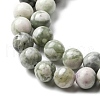 Natural Peace Jade Beads Strands G-E598-04B-4