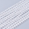 Faceted Glass Beads Strands X-GLAA-A036-F22-1