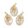 Rack Plating Brass Pave Shell Oval Pendants KK-U032-92G-03-1